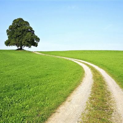 pg电子娱乐官网游戏app下载