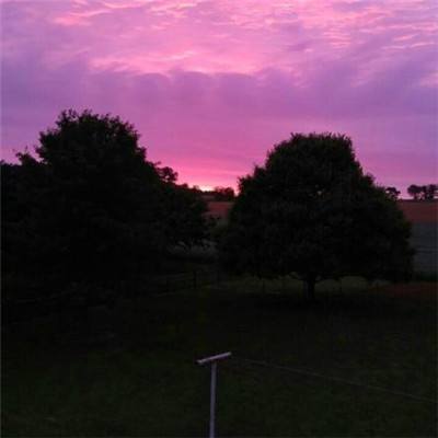 kaiyun体育全站app下载